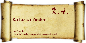 Kaluzsa Andor névjegykártya