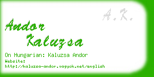 andor kaluzsa business card